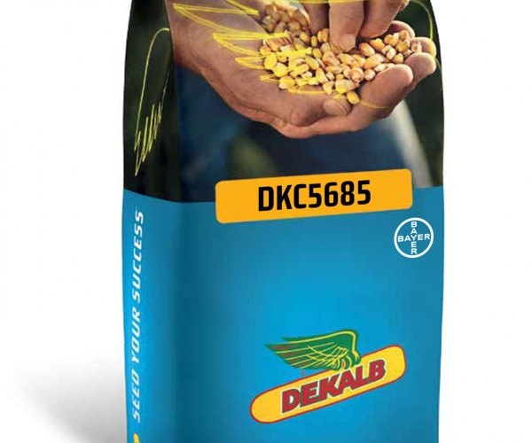 Dekalb DKC5685
