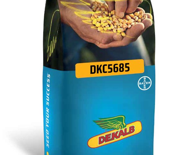 Dekalb DKC5685