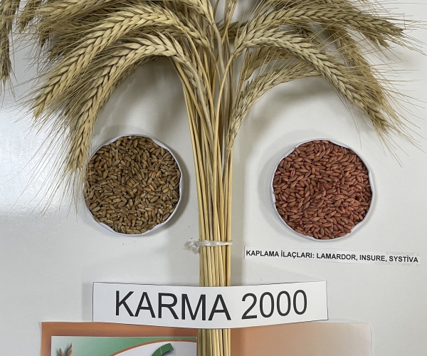 Karma-2000