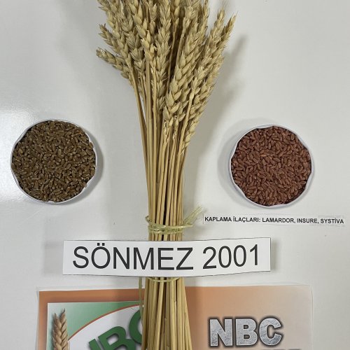 Sönmez-2001