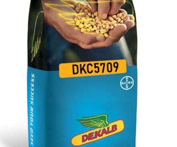 Dekalb DKC-5709