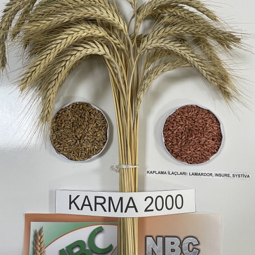 Karma 2000