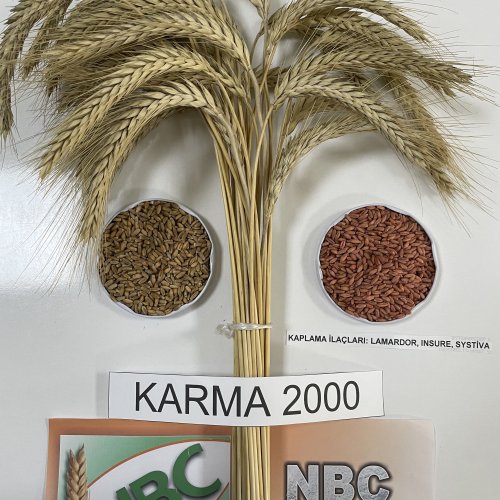 Karma-2000