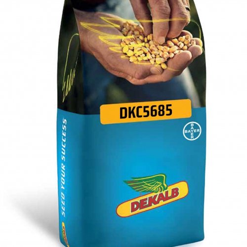 Dekalb DKC5685