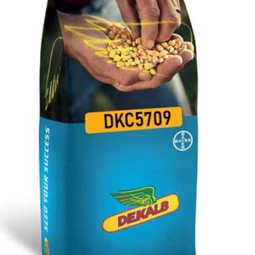 Dekalb DKC-5709